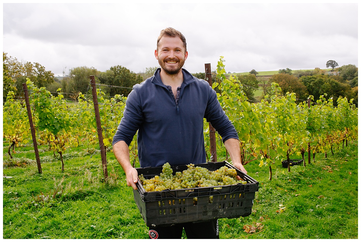 Katie_de_Silva_Photography_content_photography_Velfrey_Vineyard_Pembrokeshire_0012